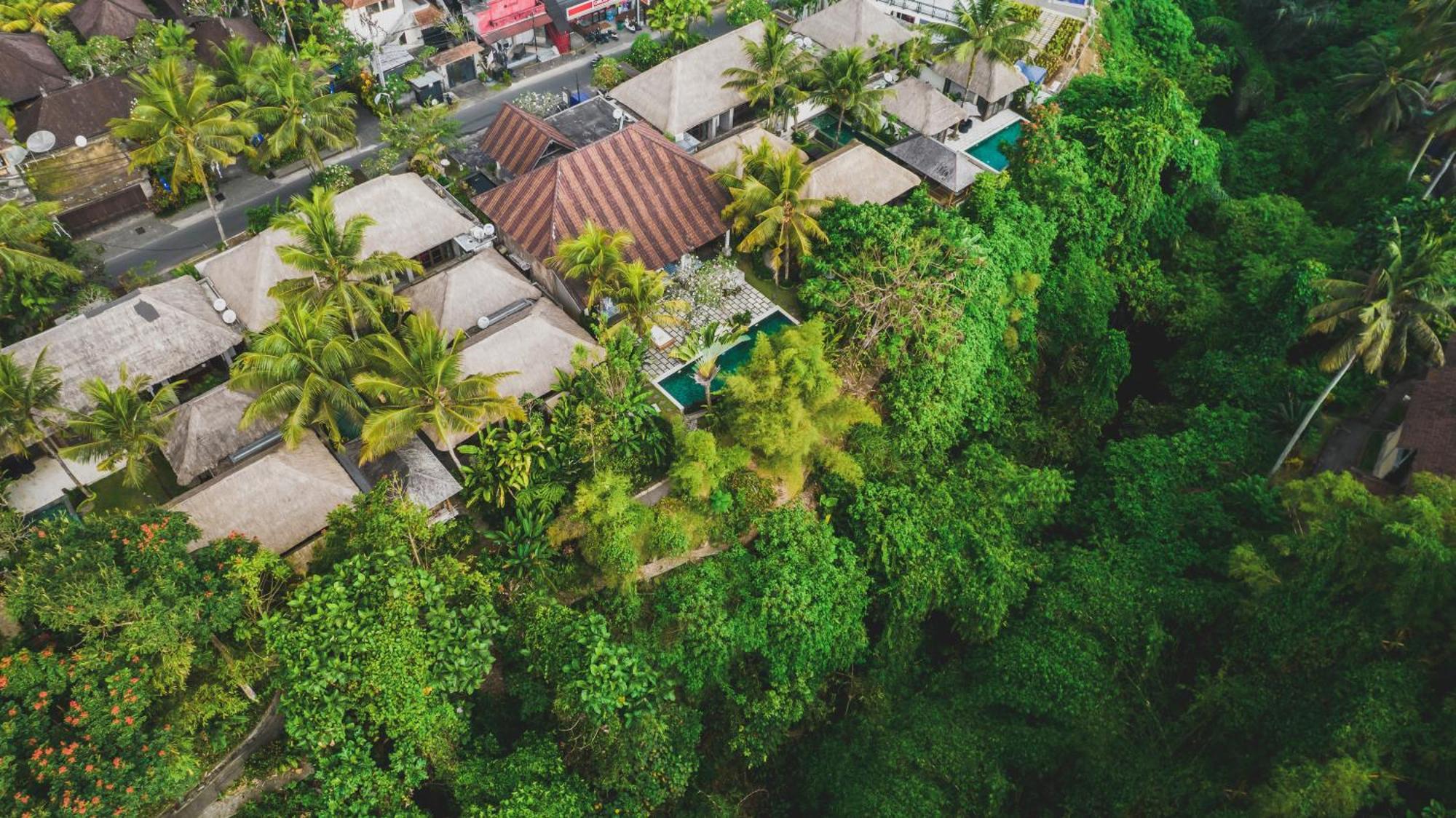 Luwak Estate Villa Ubud Eksteriør bilde
