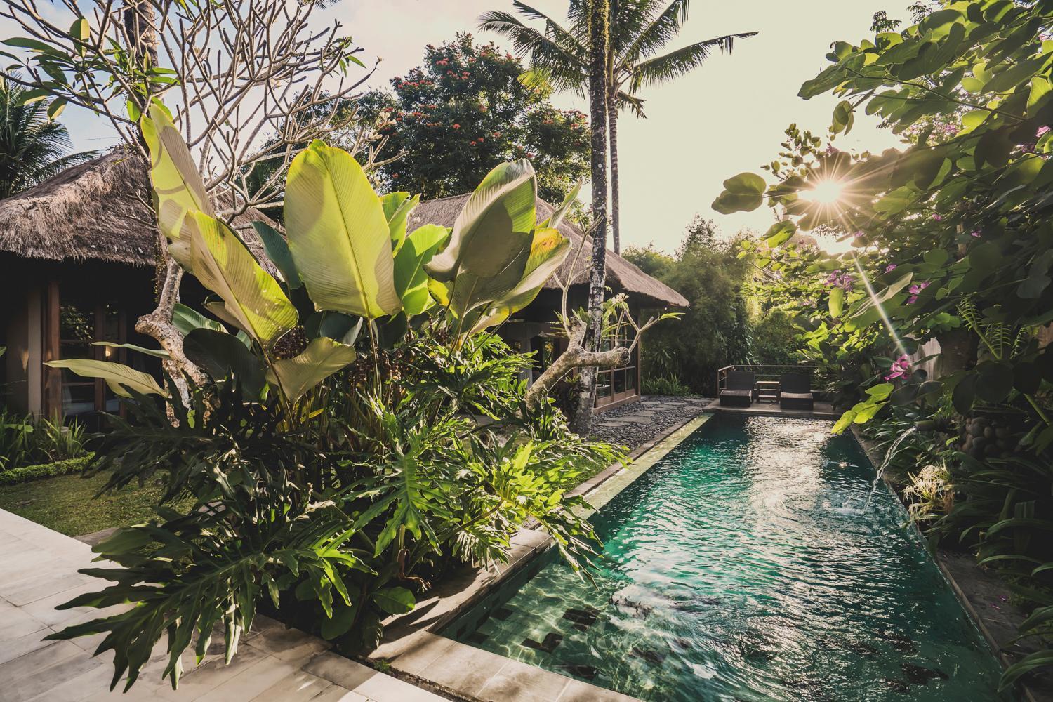 Luwak Estate Villa Ubud Eksteriør bilde